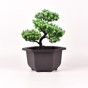 6'' Durable Plastic PP Hexagon Shape Dark Brown Bonsai Planters Desktop Decorative Succulent Pots With Tray