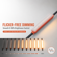 Câble plat LED pour cage à poulets 1,8W avec clip spécial pour une installation rapide dans les systèmes de cages à plusieurs niveaux et pour poulettes