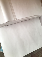 Eco- Friendly 45gsm - 48.8gsm News Paper Roll for Newsprinting