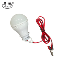 Lampe de camping LED à économie d'énergie en gros, 5W, 6500K, DC 12V, lampes LED pour la maison, ampoule LED avec câble