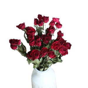 Ramo de Pétalos de Rosas Silvestres Secas de Yunnan, Materiales Florales para DIY, Decoración del Hogar, Accesorios para Fotografía, Adornos, China - Product Image 5