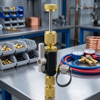 Outil de démontage et d'installation de valve à double joint torique en laiton et acier inoxydable pour climatisation et réfrigération (R22, R410A, R134A)