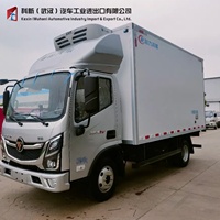 Рефрижератор FOTON HOWO Shacman 18 куб.м. для перевозки замороженных продуктов и мороженого, электрический грузовой фургон