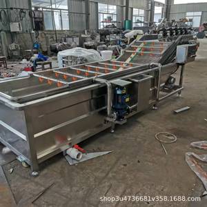 Máquina para lavar frutas y verduras para plantas de procesamiento con bomba, fácil de operar - Product Image 4