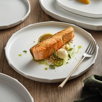 Assiettes modernes et créatives du fabricant Vaisselle haut de gamme pour restaurants et fêtes Assiettes à steak et pâtes à dessert Style design INS