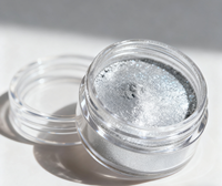Gel pailleté argenté nacré personnalisé avec logo, 5g, pour cheveux, corps et ongles, maquillage artistique, holographique, non toxique, longue durée, facile à appliquer