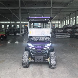 Carrito de Golf Premium Color Morado Oscuro para 4 Pasajeros con Asientos Traseros Abatibles, Canasta de Almacenamiento Delantera y Asientos de Cuero de Lujo - Product Image 5