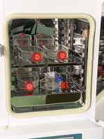 IKEME nouveauté 18L Mini incubateur microbiologique température constante laboratoire paillasse incubateur thermostatique électrique