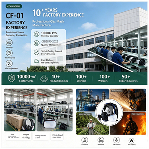 Máscara Respiratoria Esférica <span class=keywords><strong>de</strong></span> Cara Completa CF01 con Protección Contra Gases Químicos B1 y Polvo para Pintura Industrial, Entrega Rápida, Aprobado por CE - Product Image 6