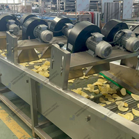 Kleine schaal productielijn voor bananenchips en frieten met aardappel schil-, was- en snijmachine