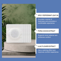 Patchs de Soutien Prostatique pour Hommes Marque Blanche – 12 Pièces, Adhésifs à Base de Plantes pour le Soin de la Vessie, OEM ODM, Soutien Quotidien pour la Santé Urinaire
