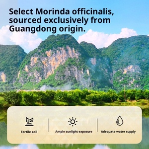 Authentische Tongrentang Marke Chinese <span class=keywords><strong>Herbal</strong></span> 100% natürlich und Ba Ji <span class=keywords><strong>Tian</strong></span> Morinda Wurzel scheibe Radix Morindae Officinalis zu verkaufen - Product Image 4
