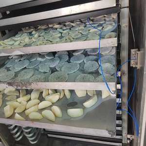 Lyophilisateur en acier inoxydable 180 kg, équipement de lyophilisation, facile à nettoyer - Product Image 5