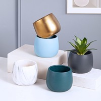Simpele succulenten potten van keramiek voor balkons, tafeldecoraties, Scandinavische moderne vergulde kleine bloempotten