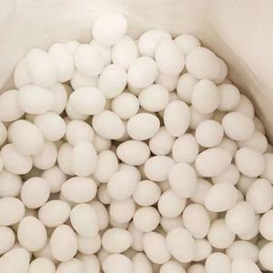 Telur Pigeon buatan yang bisa diganti dengan telor asli kualitas tinggi untuk Pigeon - Product Image 3