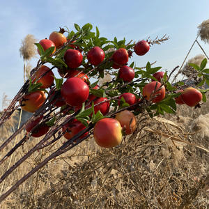 Melograno artificiale della frutta della frutta di simulazione di moq basso all'ingrosso di vendita calda di D-F001 per la decorazione domestica melograno - Product Image 1