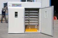 Prix ​​bas ! Incubateur à œufs solaire entièrement automatique 1500 œufs Machine combinée d'éclosion