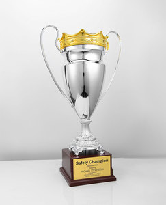Trofeo Personalizzato per Calcio e Basket, Trofeo in Metallo Dorato su Misura, Produzione Oneway - Product Image 2
