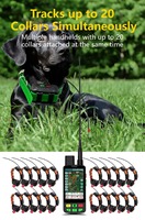 Solo un collar (sin función PDA) Sistema de rastreo GPS para perros eSEEK-dog: - Alarma de alerta y análisis del tiempo de inactividad