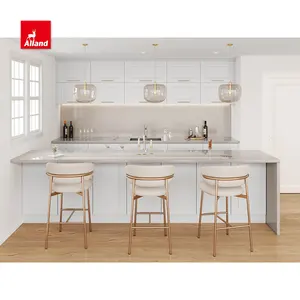 AllandCabinet Transitional Style Simple Kitchen Design Recessed Panel High Quality Kitchen Cupboard