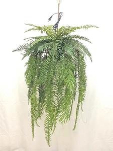 EG-A139 artificielle plante verte fougère herbe décorations suspendues de haute qualité dans l'air décoration de <span class=keywords><strong>la</strong></span> maison série forestière - Product Image 3