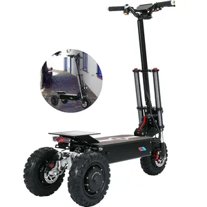 ODM Phía Trước Thủy Lực ĐĨA PHANH 3kw Điện Scooter Trên Đường E Scooter Ba Động Cơ Off Road Điện 3 Bánh Xe Tay Ga