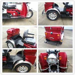 Hot Sale <strong>50cc</strong> Handicapped <strong>Gas</strong> <strong>Tricycle</strong> for the Passenger - Product Image 6