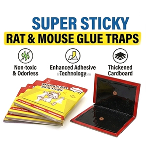 Haute performance écologique répulsif de <span class=keywords><strong>souris</strong></span> piège à colle efficace <span class=keywords><strong>pour</strong></span> <span class=keywords><strong>souris</strong></span> rats papier Gel Design bureau utiliser taille de feuille américaine - Product Image 5