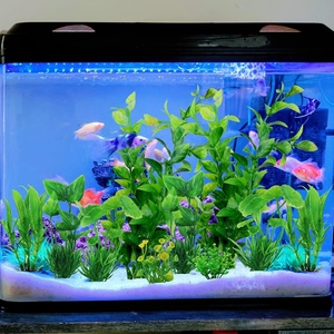 Práctico Set Completo de 10 Piezas de Decoración para Acuario, Plantas Artificiales de Agua, Set Completo de Paisajismo para Pecera, No Tóxico - Product Image 2