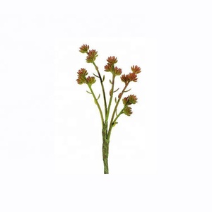 Echeveria พืช <span class=keywords><strong>Kalanchoe</strong></span> ปลอมเนื้อนิ่มขนาดเล็ก,สำหรับตกแต่ง - Product Image 6