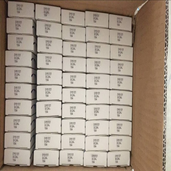 Brand New and Original SM5101-L 12-month Warranty Industrial Control PLC