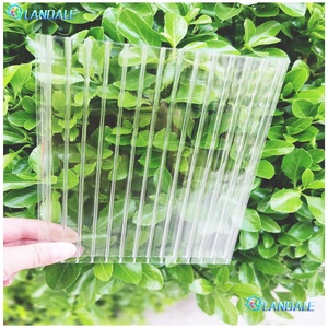 Plaque PC ondulée 8 mm en <span class=keywords><strong>polycarbonate</strong></span> <span class=keywords><strong>alvéolaire</strong></span> à double paroi pour serre, matériau de toiture extérieur, fabricant - Product Image 3