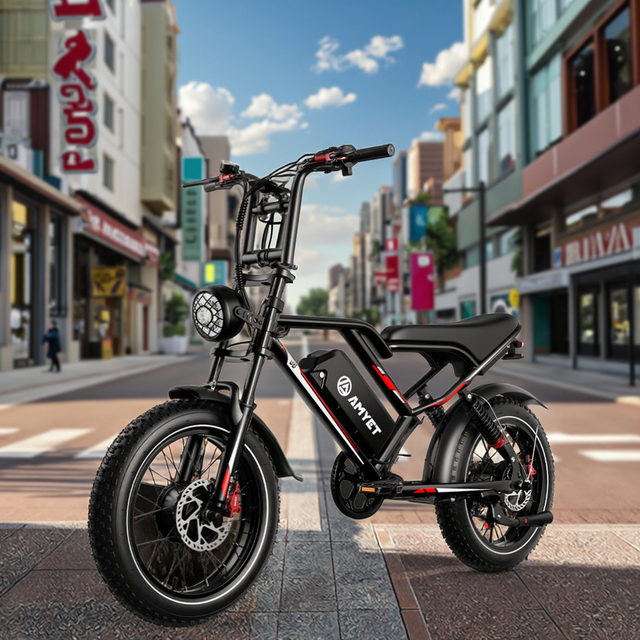 AMYET Local Overseas Stock All Terrain Electric Bicycle Factory E Bikes Electric Bicycle Fat Tire Electric Bike