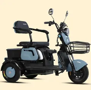 Electric Tricycle 600W 48V Family Use Electric Bike 3 Wheel Electric Scooter For Adult Tricycle