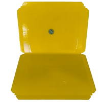 Piège à colle jetable écologique pour souris et rongeurs, parfum arachide, répulsif souris et fourmis, vente chaude usine OEM, échantillon gratuit, livraison rapide