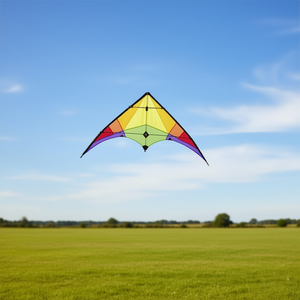 Ecoline Sport Stunt Kite Rainbow, envergadura de 1200 mm, juguete volador para niños al aire libre - Product Image 2
