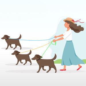 Correa para Perro Multifuncional, Nueva, con Control Antitirones, Ajustable, con Amortiguación de Impactos - Product Image 5