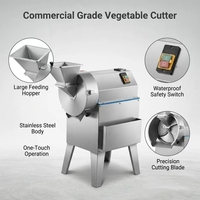 Commerciële roestvrijstalen automatische industriële multifunctionele snij-, schaaf- en blokjesmachine voor fruit en groenten