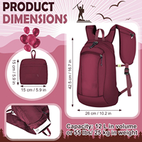 Sac à dos de randonnée pour femmes et hommes, 16 L, grande capacité, imperméable, pliable, avec poche à sangle, en nylon, noir