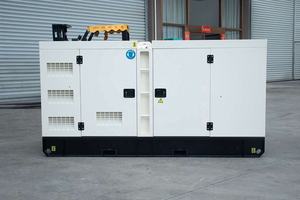 60 KVA 60kVA 60Hz Groupe électrogène silencieux 50kva Générateur diesel 3 phases 60kw Type ouvert 50kw Générateur sans balais - Product Image 5