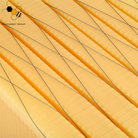 Outils d'apiculture, ruche automatique intelligente, cadre en plastique pour ruche, cadre de ruche à miel à écoulement automatique