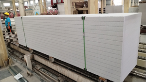 Paneles de Hormigón Autoclavado (AAC), Bloques de Pared, Paneles de Cemento Resistentes al Fuego, Paneles de Pared de Hormigón ACC <span class=keywords><strong>ALC</strong></span> - Product Image 5