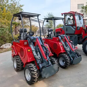 Farm Garden Care Lawn Mower Mini Wheel Loader DY620 Front Loader For Sale