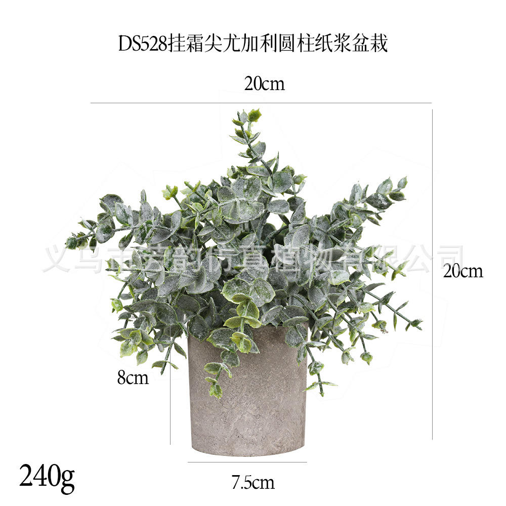 Plante en pot Ds528-eucalyptus-gel suspendu