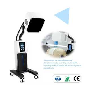 Terahertz alat energi Quantum Thz, sains fisik nyeri sirkulasi darah frekuensi pijat tulang terapi meringankan nyeri tubuh - Product Image 6