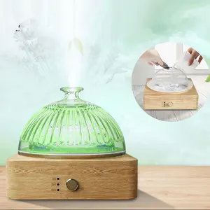 अलीबाबा में शीर्ष बेच उत्पादों Humidifier ठंड धुंध बाष्पीकरण आवश्यक तेल विसारक तेल Aromatherapy