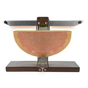 Machine de fusion de fromage à raclette commerciale électrique à chauffage rapide 900W à haute efficacité - Product Image 6