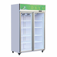 Enfriador de Bebidas Comercial de Bajo Costo y Alto Rendimiento, Descongelación Automática, Control Digital LED, Sistema de Enfriamiento Directo