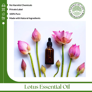 El aceite de loto proviene de la planta de loto que tiene flores cónicas y una serie de hojas circulares. - Product Image 2