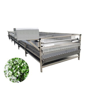 Solution de séchage automatique pour les usines de transformation des fruits, machine de séchage en acier inoxydable pour les feuilles de légumes - Product Image 1